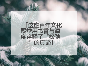 这座百年文化殿堂用书香与温度诠释了“松弛”的真谛