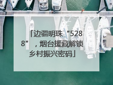 边疆明珠“5288”，烟台援藏解锁乡村振兴密码