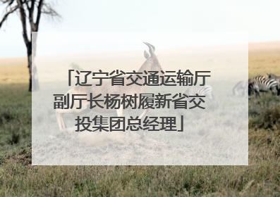 辽宁省交通运输厅副厅长杨树履新省交投集团总经理