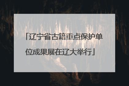辽宁省古籍重点保护单位成果展在辽大举行