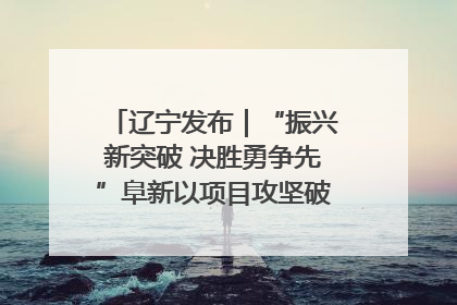 辽宁发布｜“振兴新突破 决胜勇争先”阜新以项目攻坚破解发展瓶颈 经济发展实现良好开局