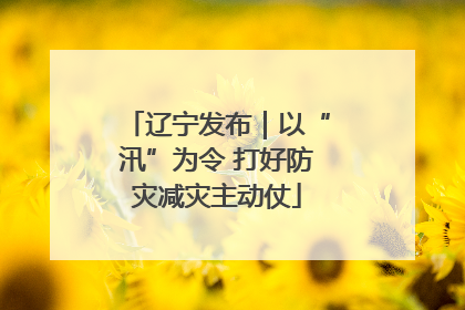 辽宁发布｜以“汛”为令 打好防灾减灾主动仗