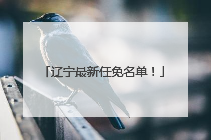 辽宁最新任免名单！
