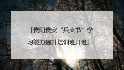贵阳贵安“兵支书”学习能力提升培训班开班