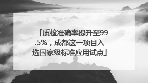 质检准确率提升至99.5%，成都这一项目入选国家级标准应用试点