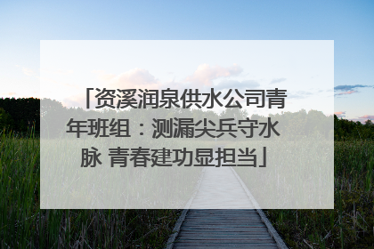 资溪润泉供水公司青年班组：测漏尖兵守水脉 青春建功显担当
