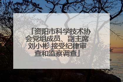 资阳市科学技术协会党组成员、副主席刘小彬 接受纪律审查和监察调查