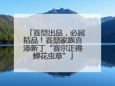赛鼎出品，必属精品！赛鼎家族喜添新丁“赛尔正得蝉花虫草”