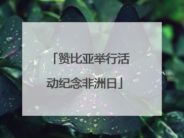 赞比亚举行活动纪念非洲日