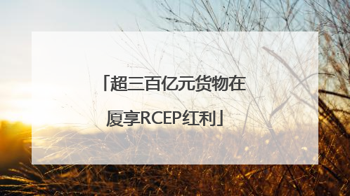 超三百亿元货物在厦享RCEP红利