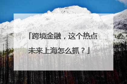 跨境金融，这个热点未来上海怎么抓？