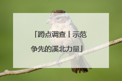 蹲点调查丨示范争先的溪北力量