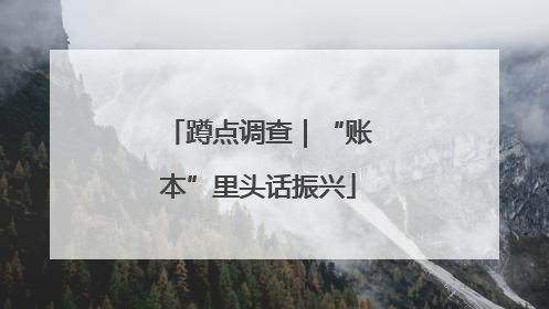 蹲点调查｜“账本”里头话振兴