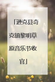 逊克县奇克镇黎明草原音乐节收官