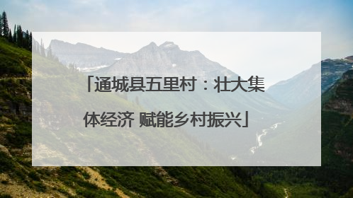 通城县五里村：壮大集体经济 赋能乡村振兴