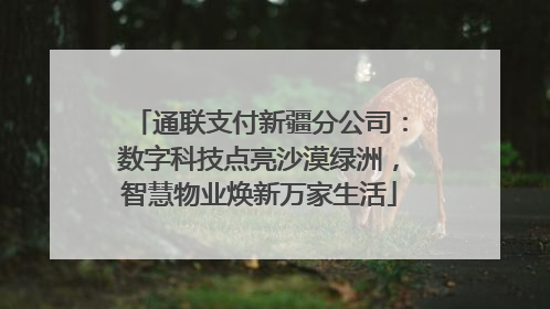 通联支付新疆分公司：数字科技点亮沙漠绿洲，智慧物业焕新万家生活