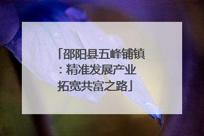 邵阳县五峰铺镇：精准发展产业 拓宽共富之路