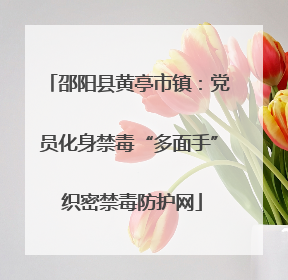 邵阳县黄亭市镇：党员化身禁毒“多面手” 织密禁毒防护网