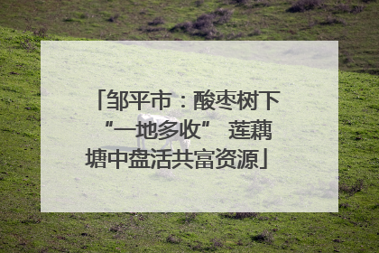 邹平市：酸枣树下“一地多收” 莲藕塘中盘活共富资源