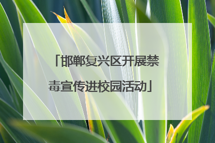 邯郸复兴区开展禁毒宣传进校园活动