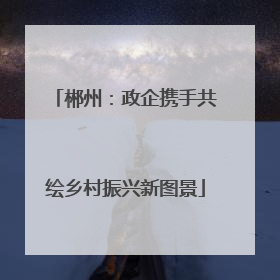 郴州：政企携手共绘乡村振兴新图景