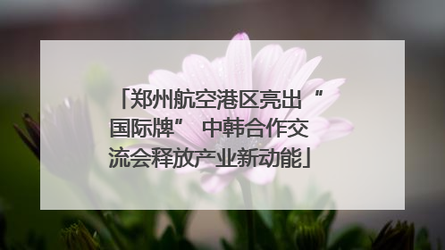 郑州航空港区亮出“国际牌” 中韩合作交流会释放产业新动能