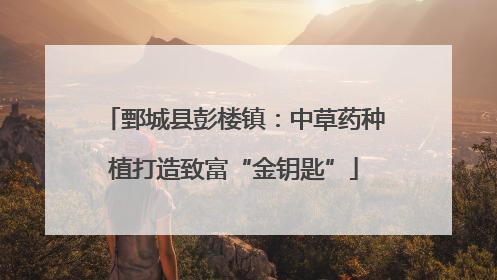 鄄城县彭楼镇：中草药种植打造致富“金钥匙”
