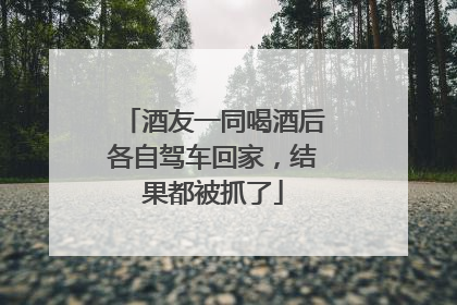 酒友一同喝酒后各自驾车回家，结果都被抓了