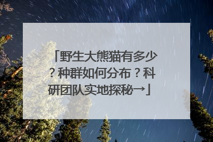 野生大熊猫有多少？种群如何分布？科研团队实地探秘→