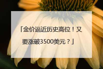 金价逼近历史高位！又要涨破3500美元？