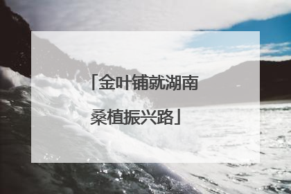 金叶铺就湖南桑植振兴路