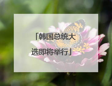韩国总统大选即将举行