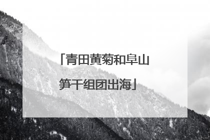 青田黄菊和阜山笋干组团出海
