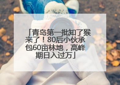 青岛第一批知了猴来了！80后小伙承包60亩林地，高峰期日入过万