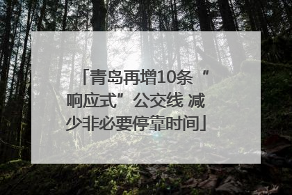 青岛再增10条“响应式”公交线 减少非必要停靠时间