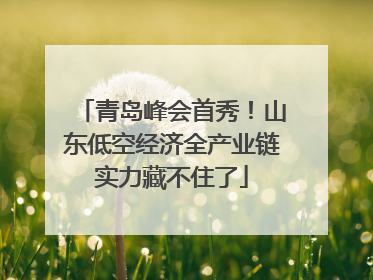 青岛峰会首秀！山东低空经济全产业链实力藏不住了