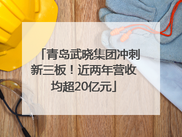 青岛武晓集团冲刺新三板！近两年营收均超20亿元