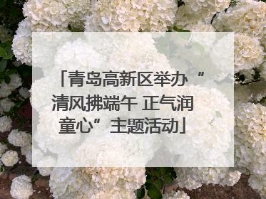 青岛高新区举办“清风拂端午 正气润童心”主题活动