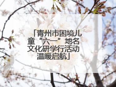 青州市困境儿童“六一”地名文化研学行活动温暖启航