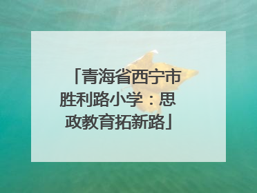 青海省西宁市胜利路小学：思政教育拓新路
