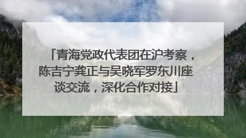 青海党政代表团在沪考察，陈吉宁龚正与吴晓军罗东川座谈交流，深化合作对接