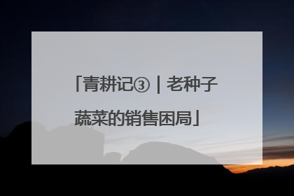 青耕记③｜老种子蔬菜的销售困局
