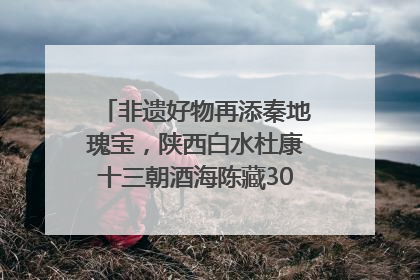 非遗好物再添秦地瑰宝，陕西白水杜康十三朝酒海陈藏30年别具一格
