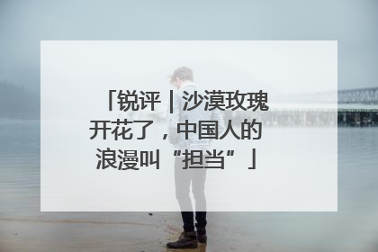 锐评｜沙漠玫瑰开花了，中国人的浪漫叫“担当”