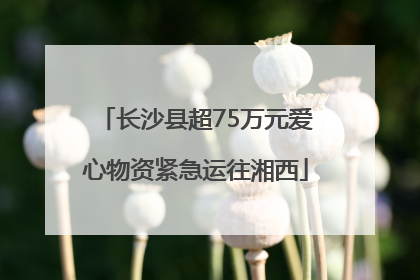 长沙县超75万元爱心物资紧急运往湘西