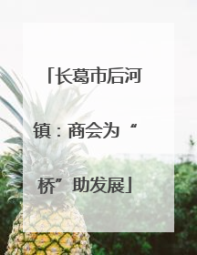长葛市后河镇：商会为“桥”助发展