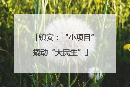 镇安：“小项目”撬动“大民生”