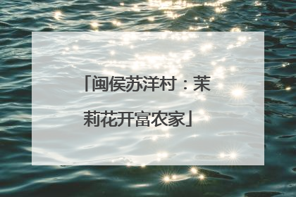 闽侯苏洋村：茉莉花开富农家