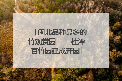闽北品种最多的竹观赏园——杜潭百竹园建成开园