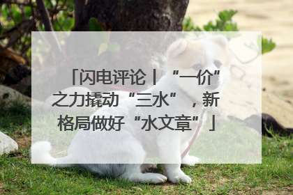 闪电评论丨“一价”之力撬动“三水”，新格局做好“水文章”